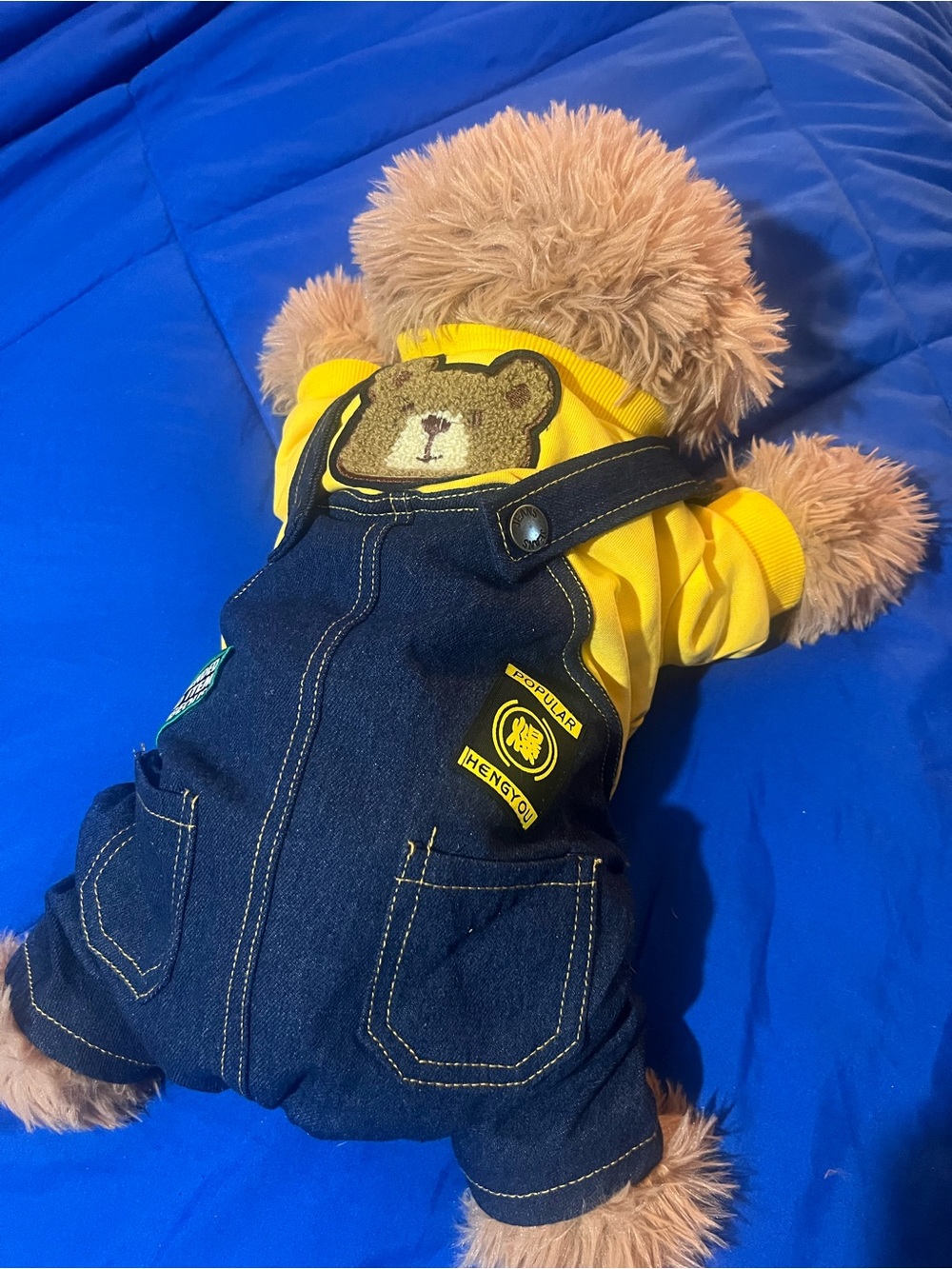 Dog  Overall with Yellow sweater